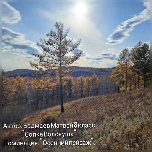 Изображения.